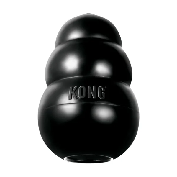 KONG Extreme • snackbal rubber zwart • M - Patrick Driessen ...