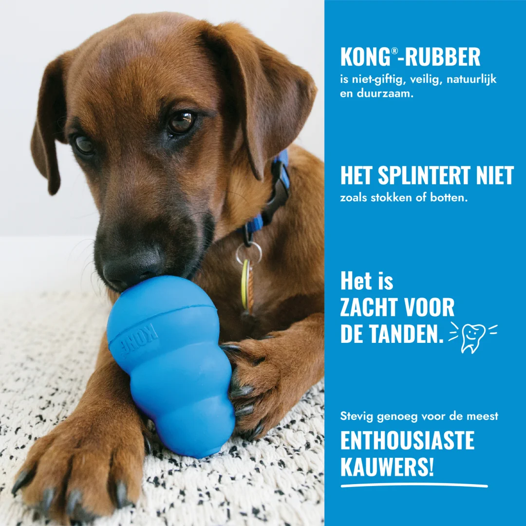 KONG Puppy • snackbal rubber • M - Afbeelding 11