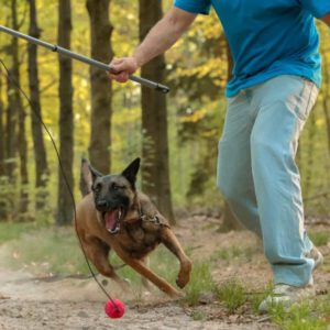 Flirtpole + KONG Classic snackbal M